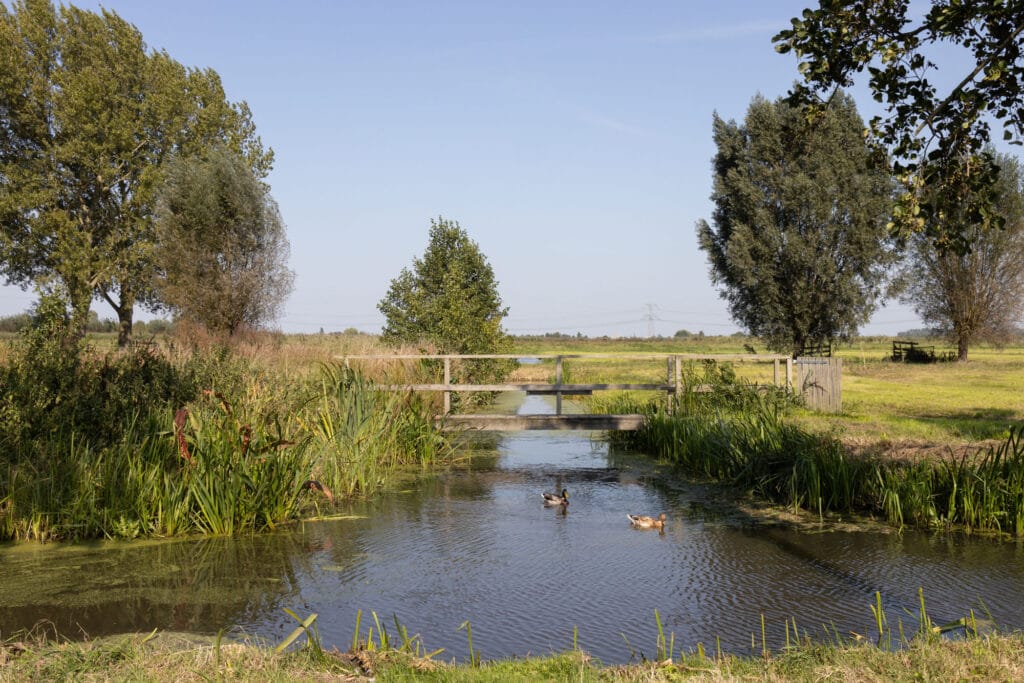 Polderlandschap met bruggetje over sloot met eenden in wijk Blokweer, Alblasserdam
